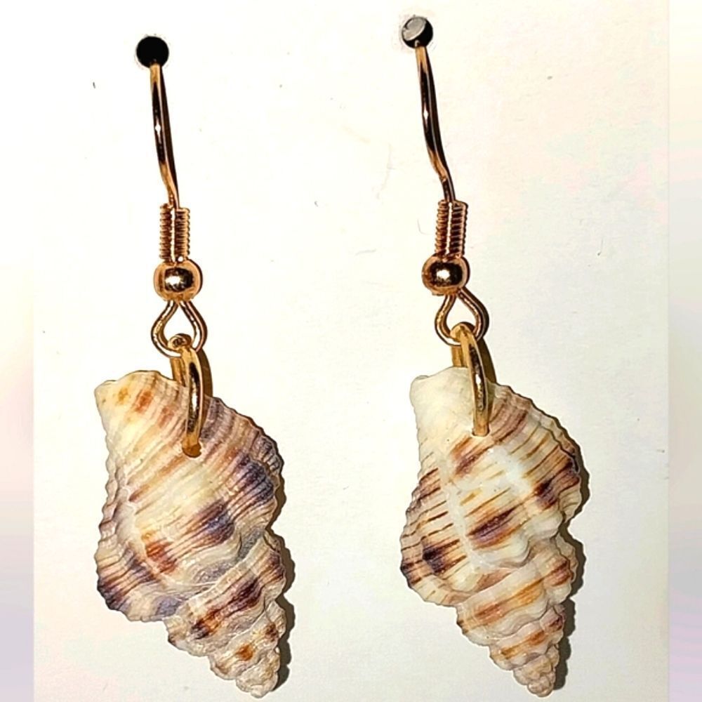Beautiful seashell dangle earrings for girls and women